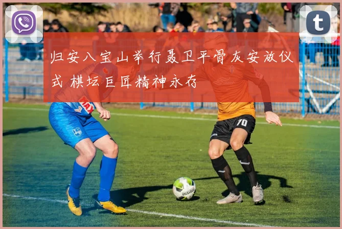 归安八宝山举行聂卫平骨灰安放仪式 棋坛巨匠精神永存