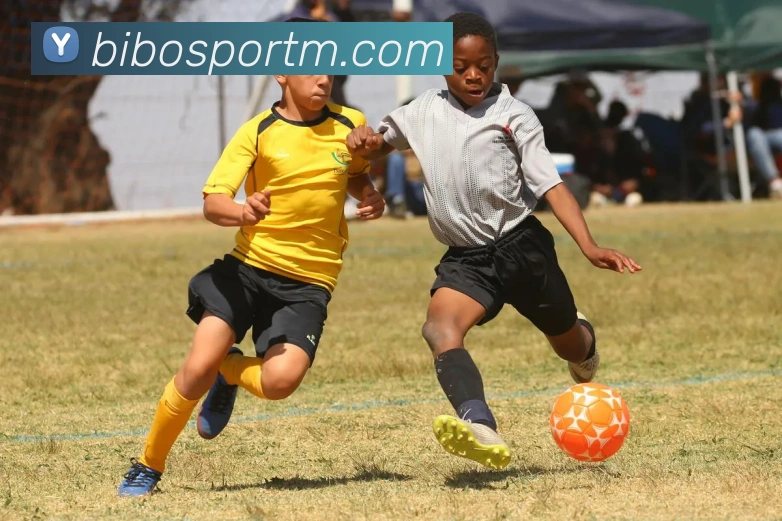 必博体育APP 封面图